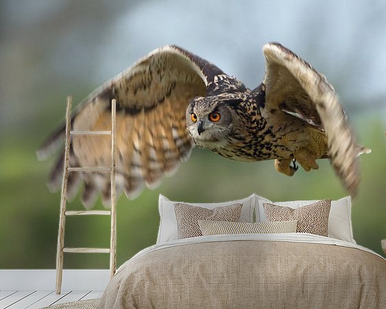 Aperçu de la chambre