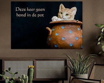 Deze keer geen hond in de pot