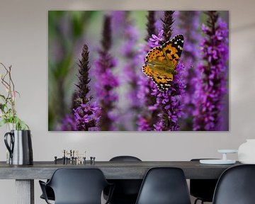 Papillon de chardon orange-noir sur fleurs violettes