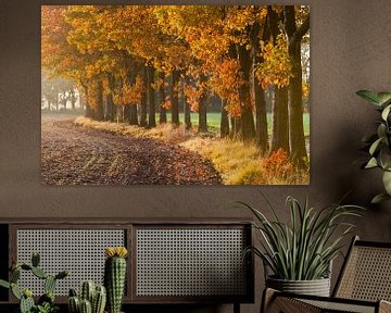 Herbst-Spur von Joep de Groot