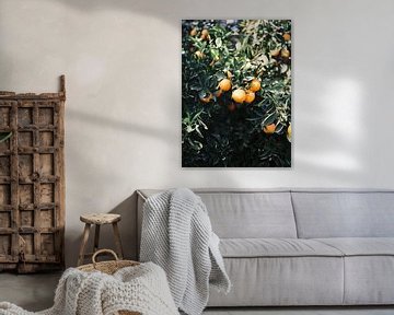 Orangen | Stimmungsvolle farbenfrohe Reisefotografie | Botanische grüne Wand mit Orange von Raisa Zwart
