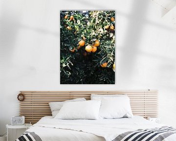 Oranges | Moody colorful travel photography | Botanical green wall with oranges by Raisa Zwart