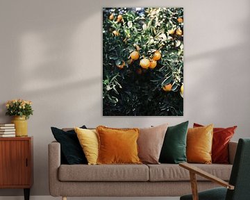 Sinaasappelen | Moody kleurrijke reisfotografie | Botanische groene muur met sinaasappelen van Raisa Zwart