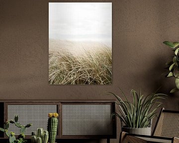 Dune grass by Raisa Zwart