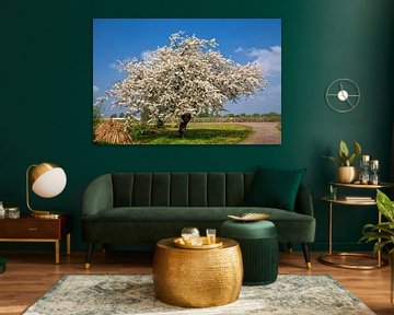 Blütenbaum im Frühjahr von Bram van Broekhoven