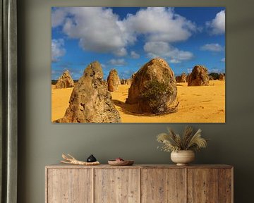 Pinnacles Desert in West-Australië van Ines Porada