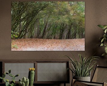 rangée d'arbres inclinés sur Tania Perneel