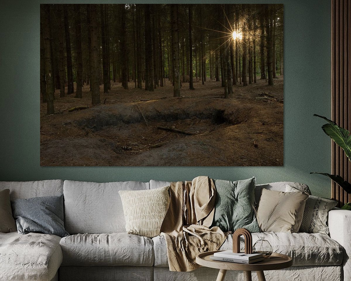Voorbeeld van het werk in een kamer