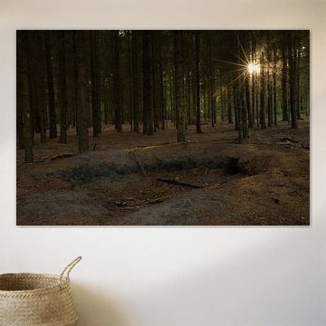 Sonnenuntergang im Wald