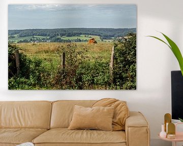 Vue sur les collines du Limbourg méridional sur John Kreukniet