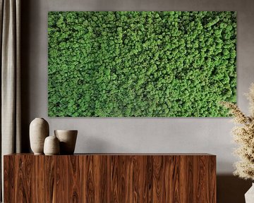 Natuurlijke muur van mos van Tim Vaal