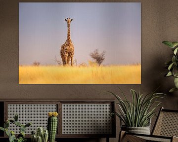 Giraffe op savanne van Chris Stenger