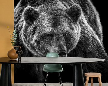 Brown bear close-up in black and white by Caroline van der Vecht