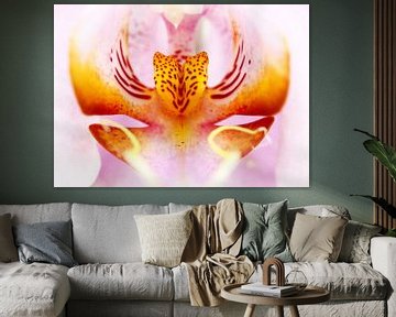 Gros plan d'une orchidée en rose et jaune sur Caroline van der Vecht