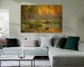 Braunbär am Wasser, mit Reflektion und Herbstfarben. von Caroline van der Vecht