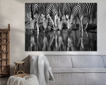 Vier zebra's drinkend naast elkaar, in zwart wit van Caroline van der Vecht