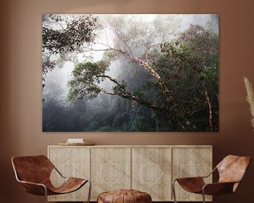Fog in the jungle by Yvette Baur