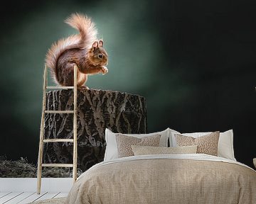 Light Play and Life: Squirrel at Dawn by Alex Pansier