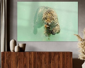 Jaguar-Tauchgänge für Beutetiere von Herbert van der Beek