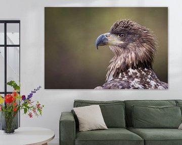 Portrait of an Eagle by Herbert van der Beek