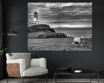 Schottland Neist Point Schaf in schwarz-weiß von Carina Meijer ÇaVa Fotografie