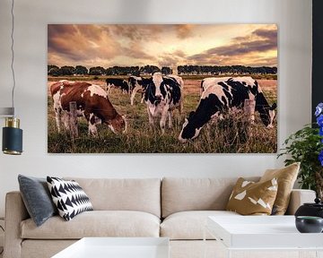 Cows in the Field sur Thom Brouwer