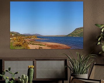 Blick auf Loch Leven von Wilma Overwijn