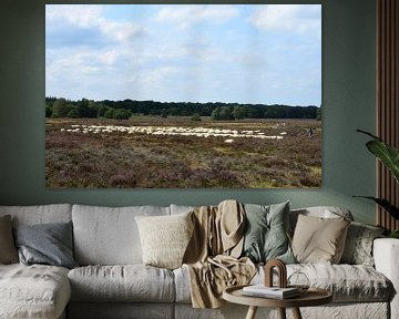 A flock of sheep on the heath by Gerard de Zwaan