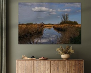 Vergezicht Friesland