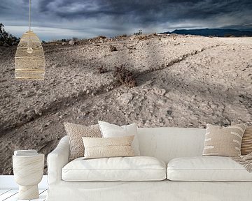 Nevada uitgestrekt woestijn landschap kale rotsachtige vlakte van Marianne van der Zee
