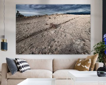 Nevada desert landscape bare, lonely sand and stones by Marianne van der Zee