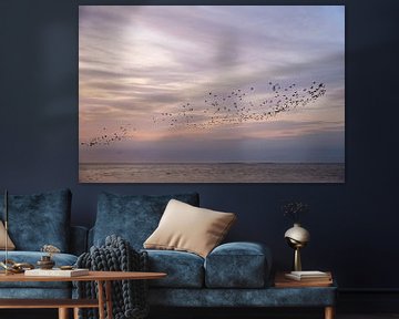 Een zwerm vogels bij een prachtige lucht van Barbara Brolsma