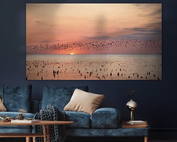 Vogels vliegen bij zonsondergang over het Friese wad van Barbara Brolsma
