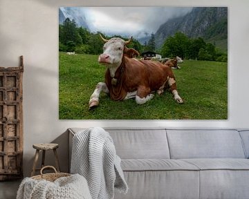Alpen cows at Königssee in Berchtesgadener Land van Maurice Meerten