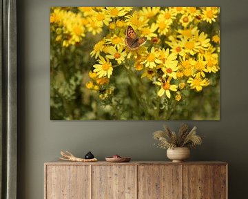 Bruine vlinder op gele bloemen van Nicolette Vermeulen