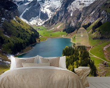 SeeAlpsee, Switzerland van Niels Tichelaar