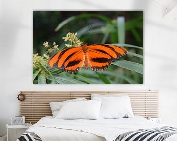 Oranje vlinder van Nicolette Vermeulen