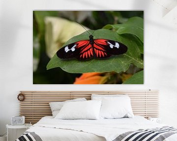 Vlinder in zwart, wit en rood rust op een blad van Nicolette Vermeulen