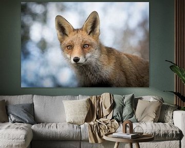 Fox on the lookout by Herbert van der Beek