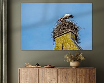 Störche bauen liebevoll ihre Nester. von Joyce Reimus