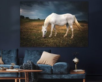 Horse in the meadow just before a heavy rain shower