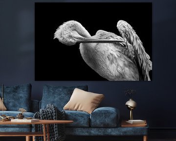 the bowing Pelican by Maarten Mensink