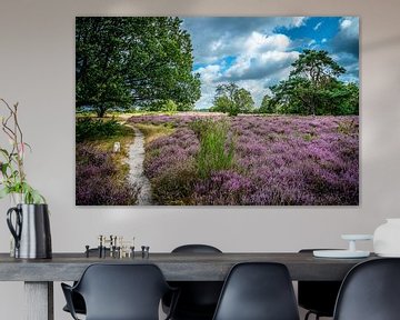 Hoorneborgse heath between Hollandsche Rading and Hilversum by Hans Lebbe