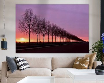 Sunset behind the trees by Denise van Gerven