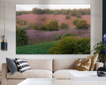 palette de couleurs de la bruyère sur Tania Perneel