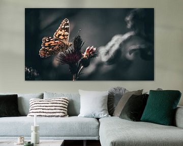 vlinder van Bjorn Brekelmans
