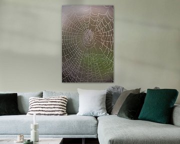 Toile d'araignée avec perles sur Marije Zuidweg