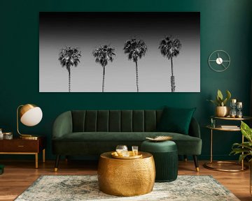 Lovely Palm Trees | monochrome panorama by Melanie Viola