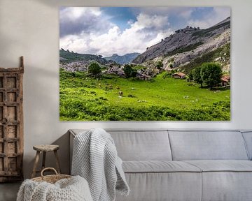 Wiese mit Kühen und Berghütten in Picos de Europa