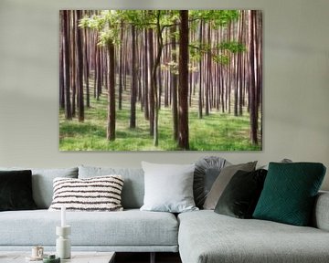 Bomen in het groen van Marcel van Balken